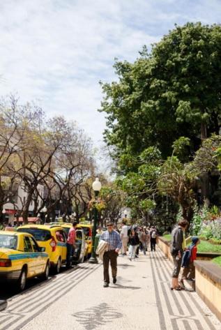Central Funchal Apartment - Garden - Free Parking & Ac Dış mekan fotoğraf