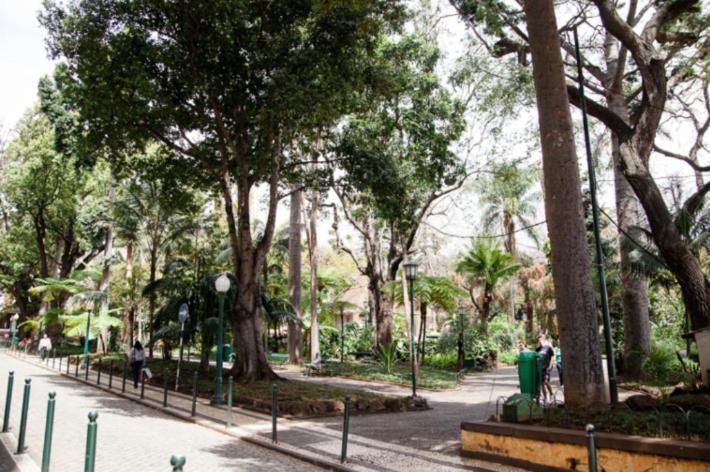 Central Funchal Apartment - Garden - Free Parking & Ac Dış mekan fotoğraf