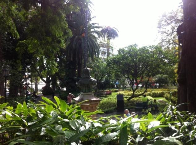 Central Funchal Apartment - Garden - Free Parking & Ac Dış mekan fotoğraf