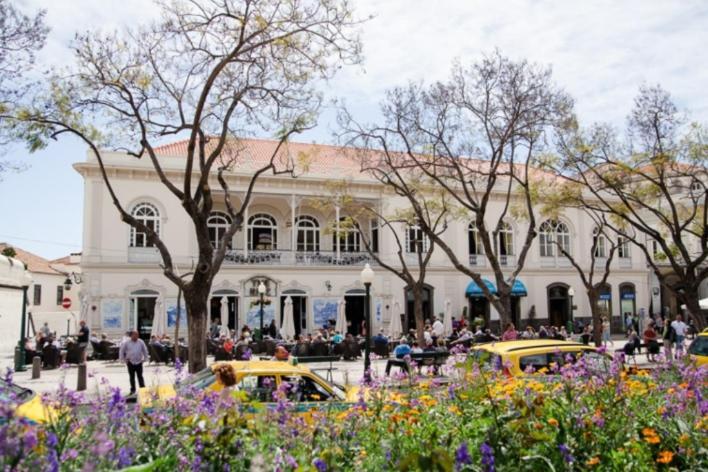 Central Funchal Apartment - Garden - Free Parking & Ac Dış mekan fotoğraf